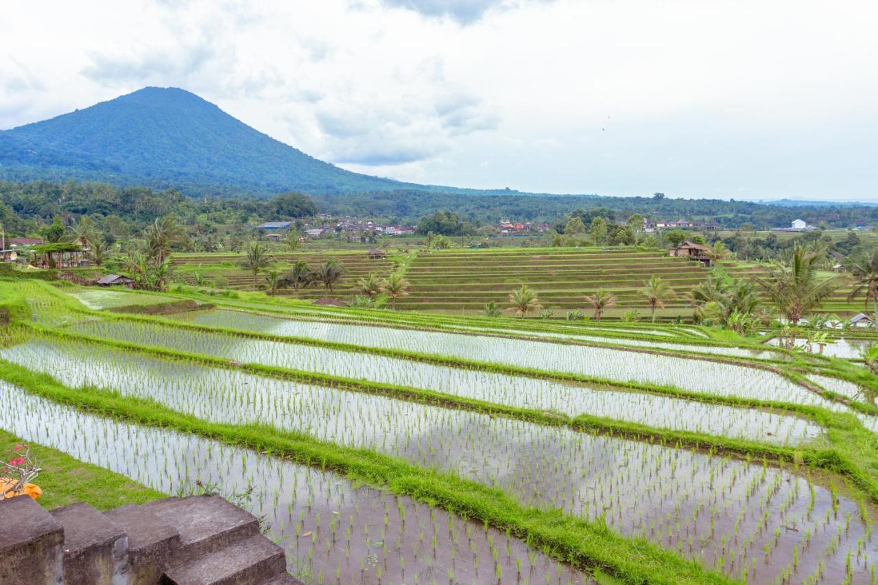Bhuana Agung Villa And Restaurant Джатилувих Экстерьер фото